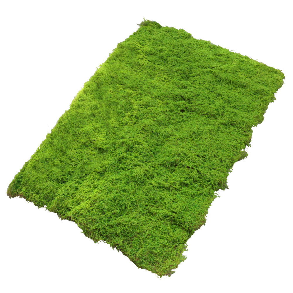 Alas Rumput Sintetis Berbentuk - Preserved Moss Sheet ulasan dan harga