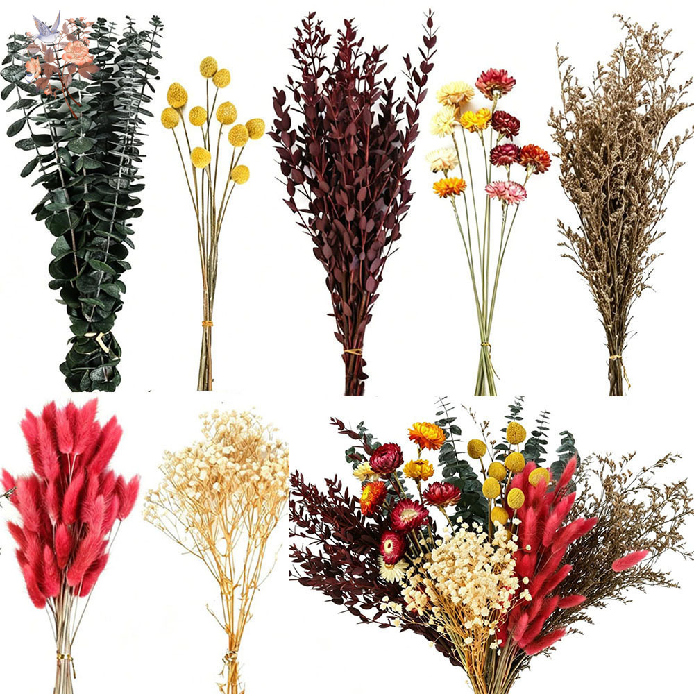 Set Bunga Kering dalam Jumlah  - Florist Supply Bulk ulasan dan harga