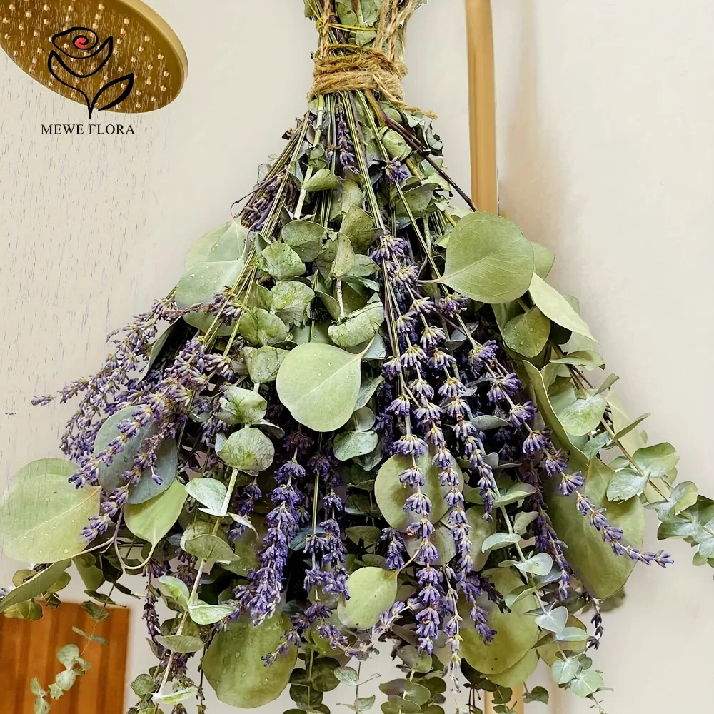 30 buah bunga kering daun euka - Eucalyptus Preserved ulasan dan harga