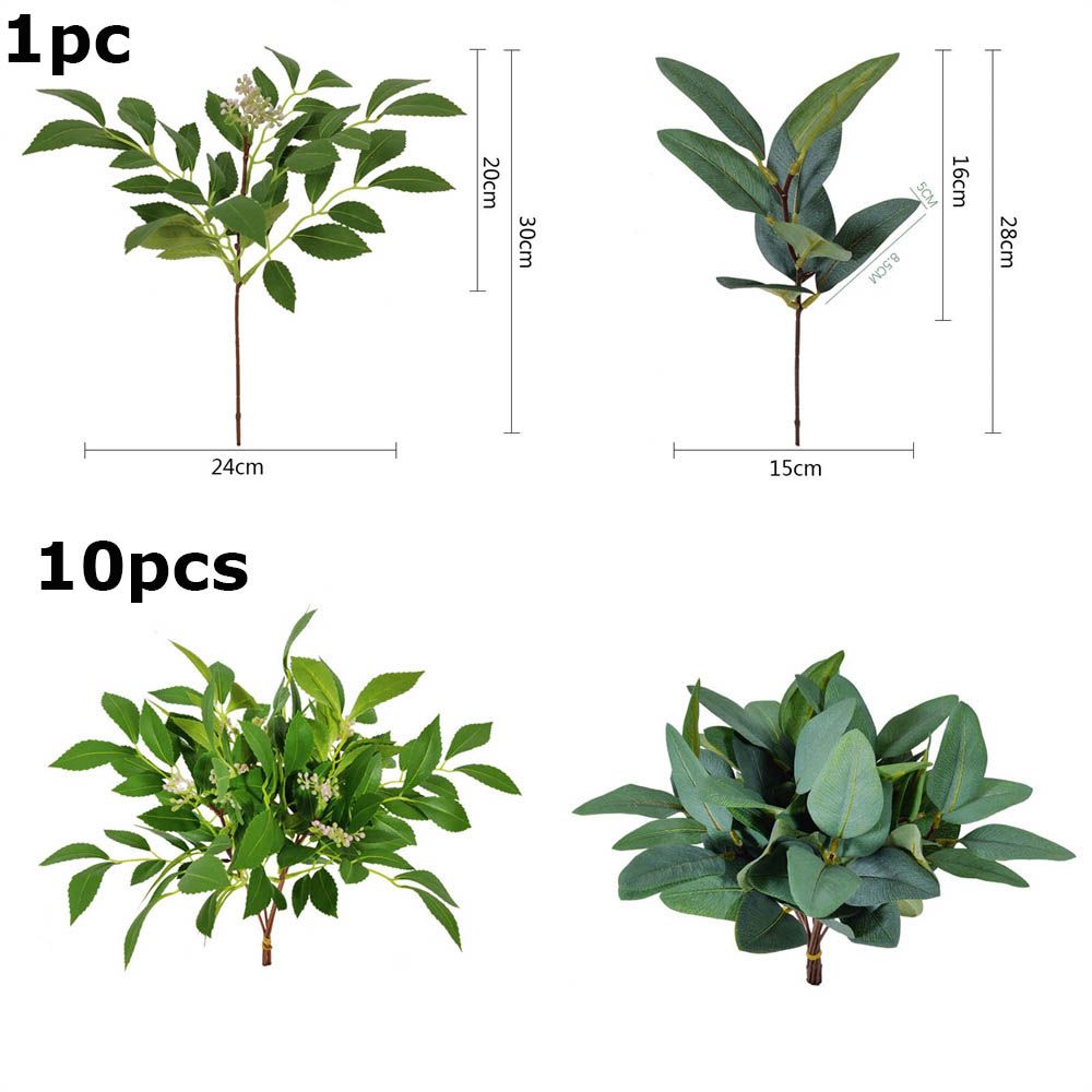 1/10 buah tanaman eukaliptus b - Florist Supply Bulk ulasan dan harga